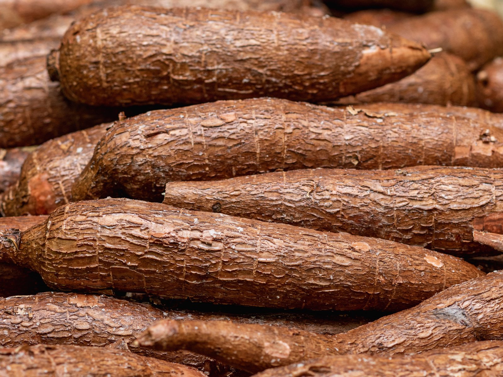 recherche 4 camions de Manioc