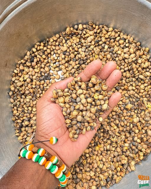 Grain de néré