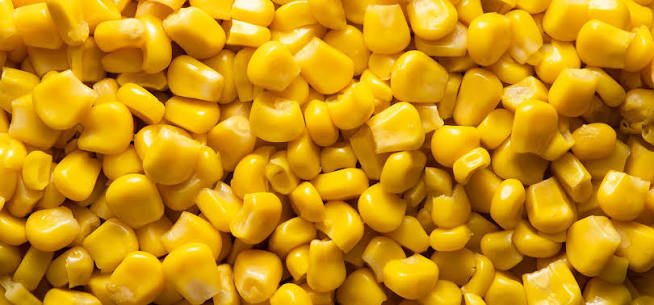 Mais jaune